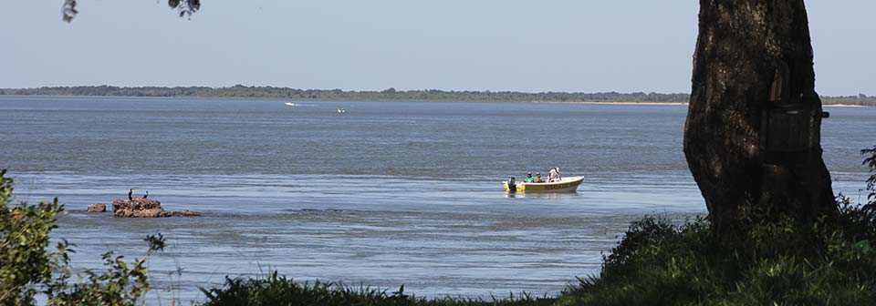 Pesca en Rio Parana