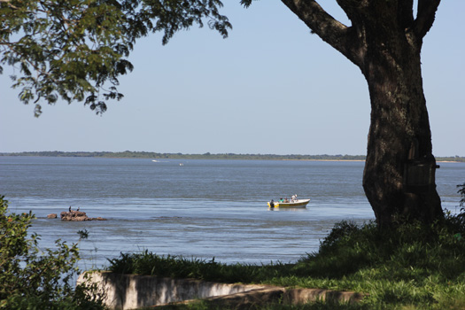 Pesca salidas en lancha